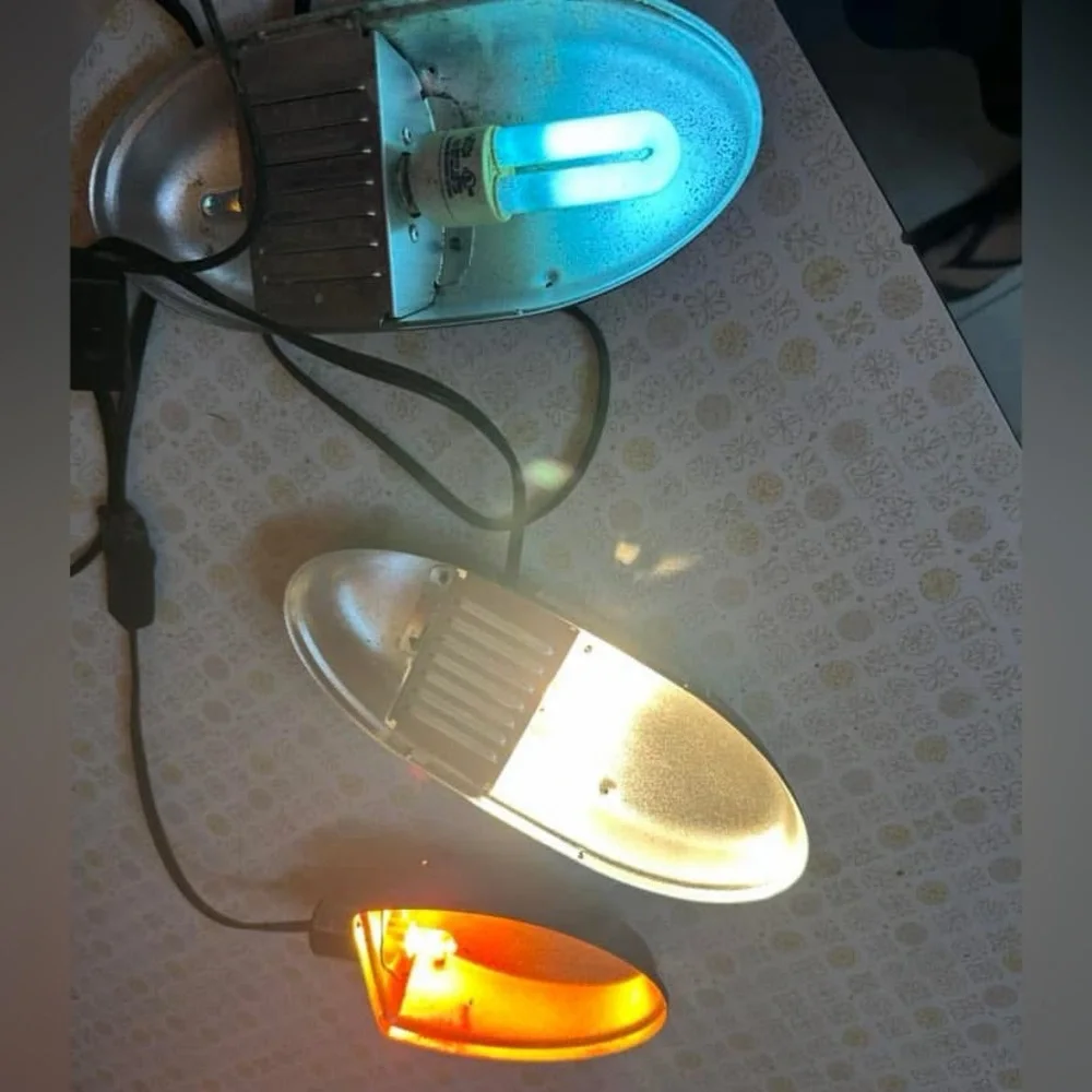 Reptile lights